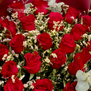 Alternative view of Ramo 24 Rosas Rojas