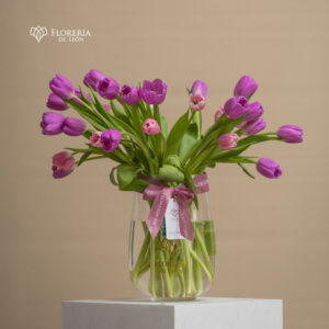Arabella 30 Tulipanes