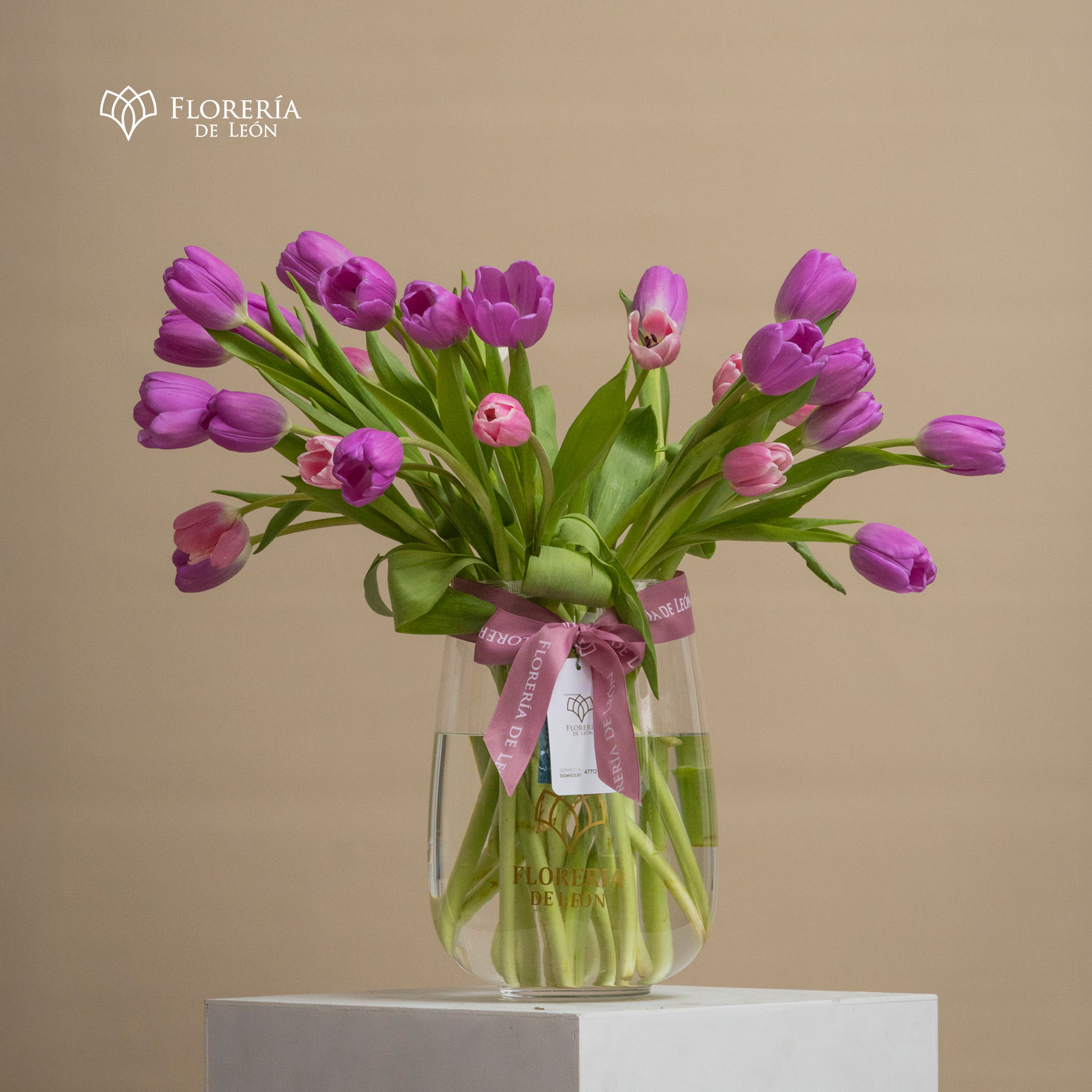 Arabella 30 Tulipanes