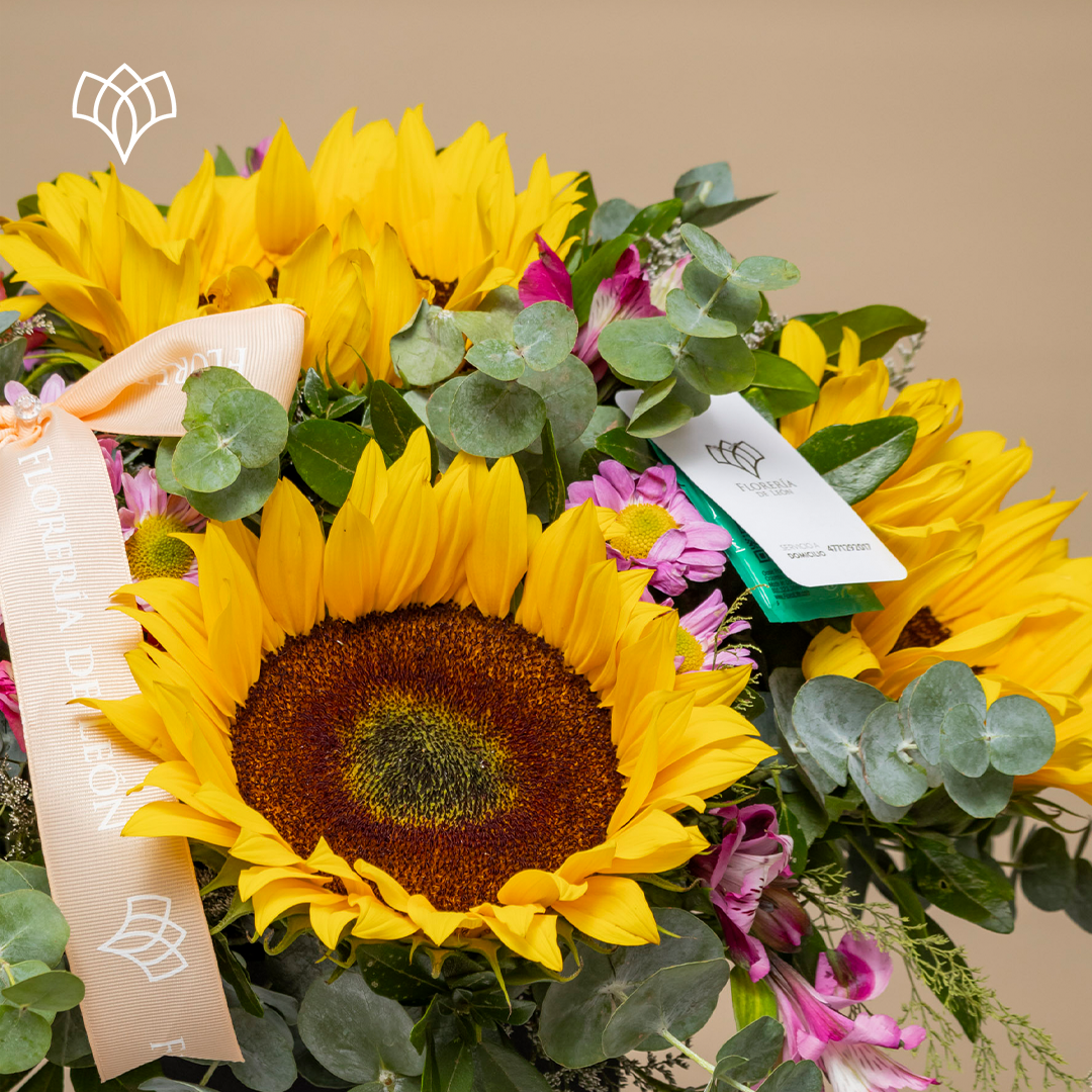 caja 5 girasoles copia