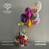 regalo de rosas, orquideas y globos