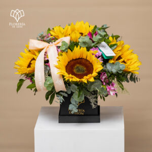 Caja 5 Girasoles