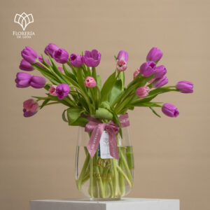 Arabella 30 Tulipanes
