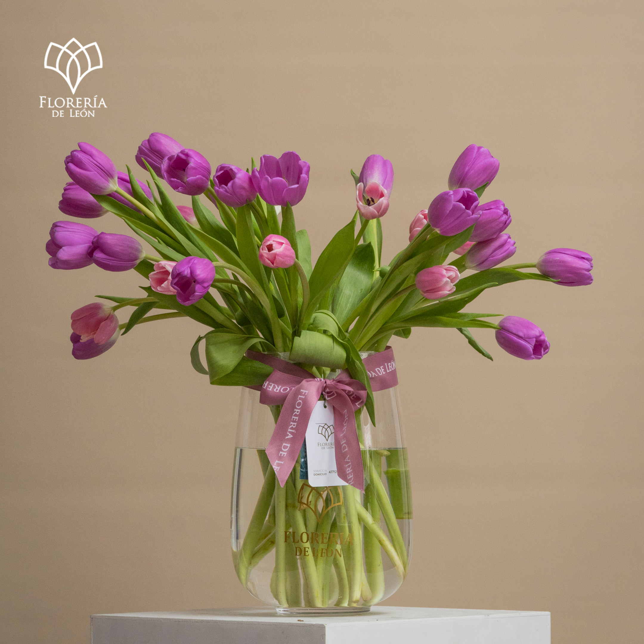 Arabella 30 Tulipanes