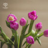 Florero 10 Tulipanes - Imagen 2