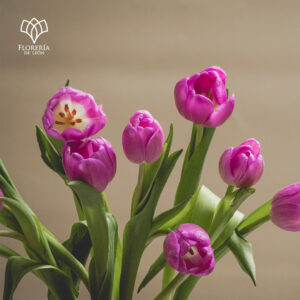 Alternative view of Florero 10 Tulipanes