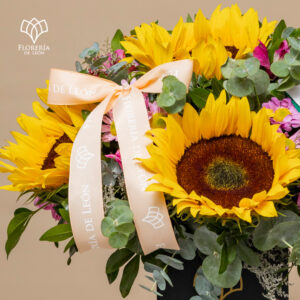 Alternative view of Caja 5 Girasoles