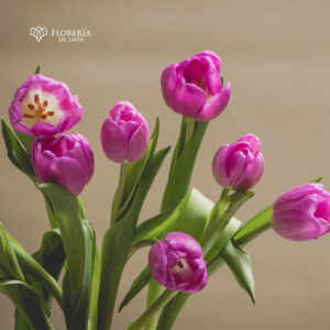 Alternative view of Florero 10 Tulipanes