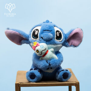 Stitch con Trapos