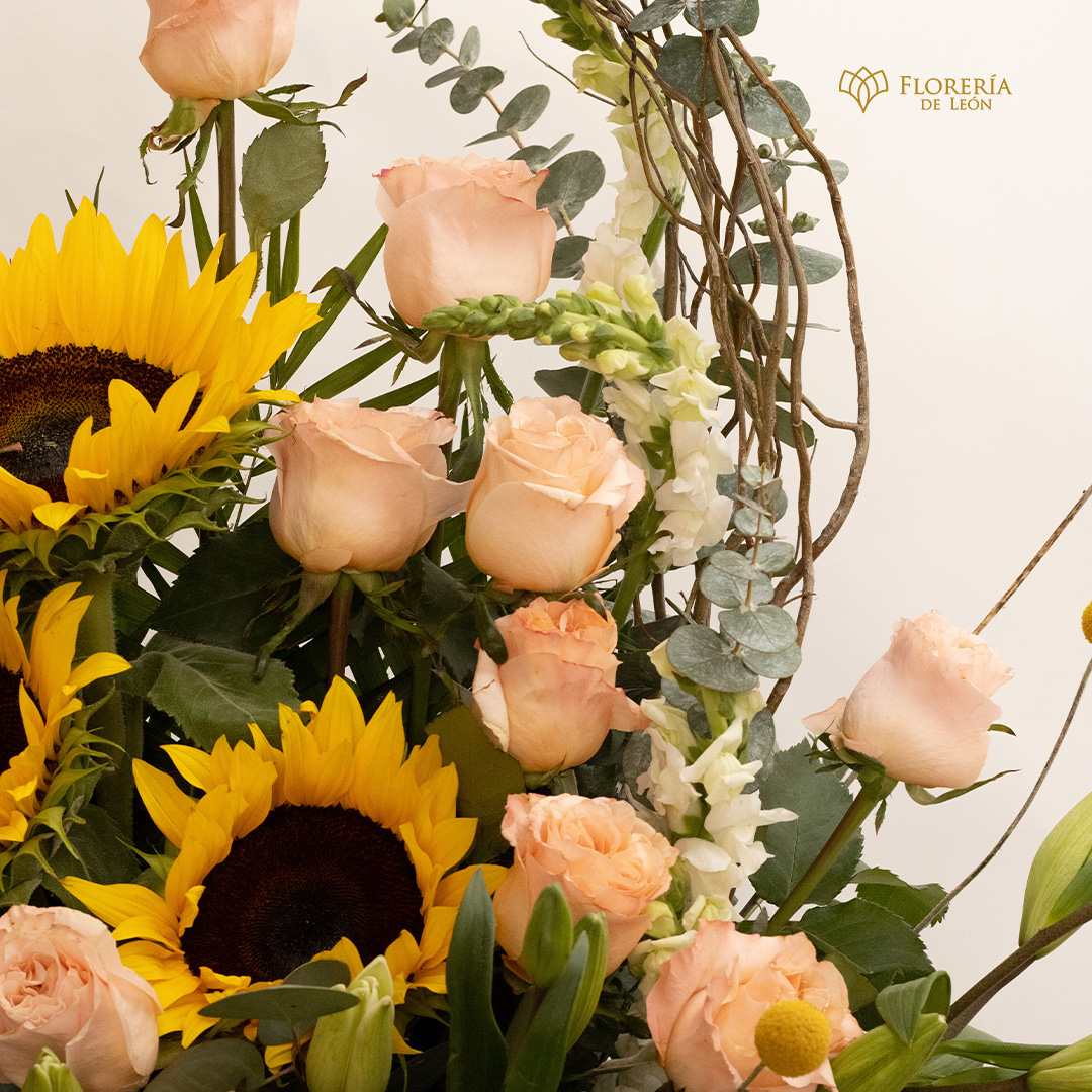 arreglo Edith copia 2