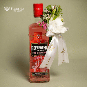 Beefeater pink strawberry con adorno
